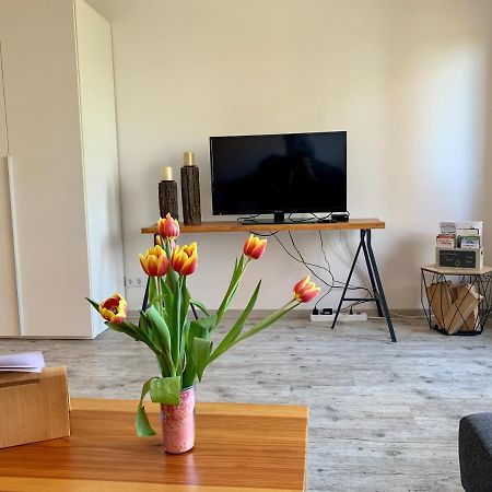 Ferienwohnung Luchsbutze Sankt Andreasberg Exterior foto