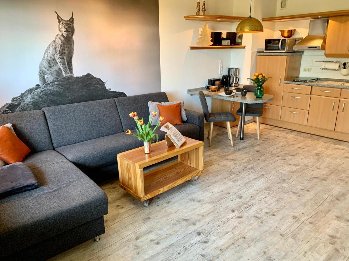 Ferienwohnung Luchsbutze Sankt Andreasberg Exterior foto