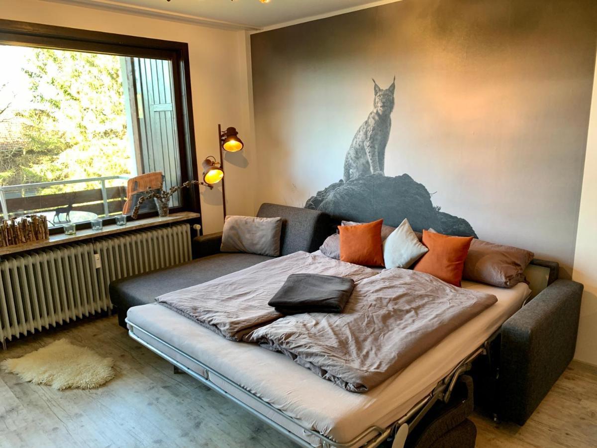 Ferienwohnung Luchsbutze Sankt Andreasberg Exterior foto