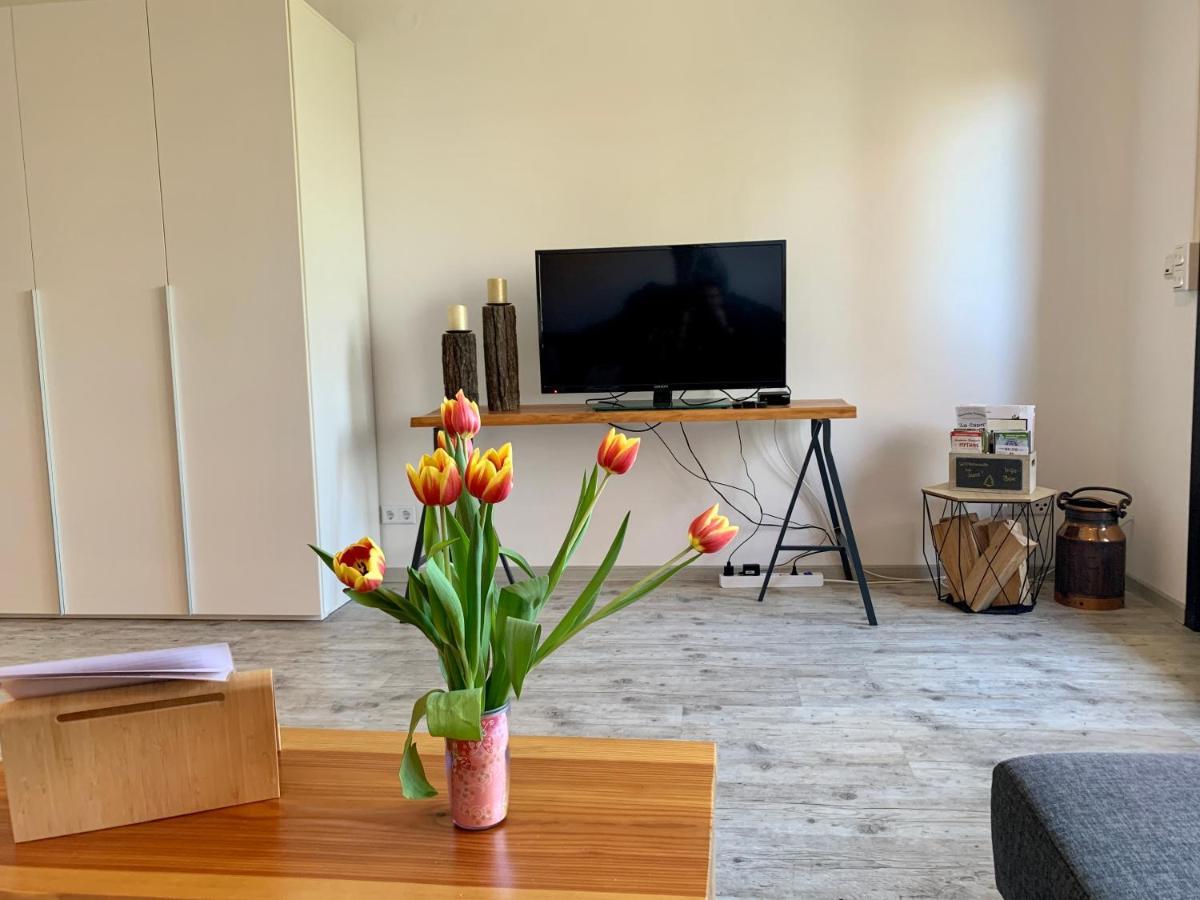 Ferienwohnung Luchsbutze Sankt Andreasberg Exterior foto