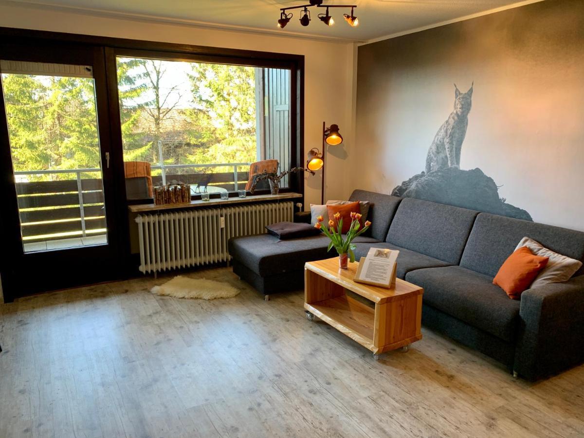 Ferienwohnung Luchsbutze Sankt Andreasberg Exterior foto