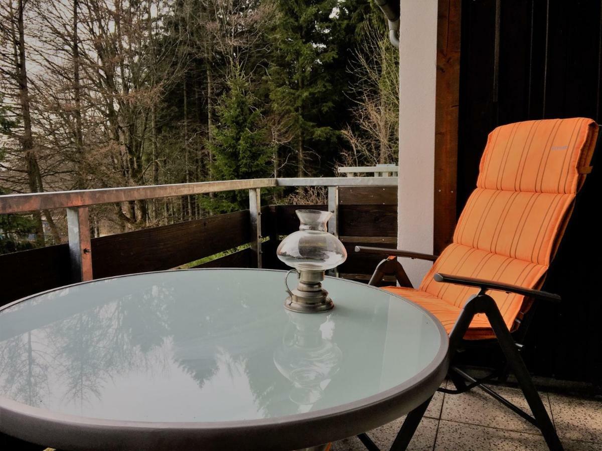 Ferienwohnung Luchsbutze Sankt Andreasberg Exterior foto