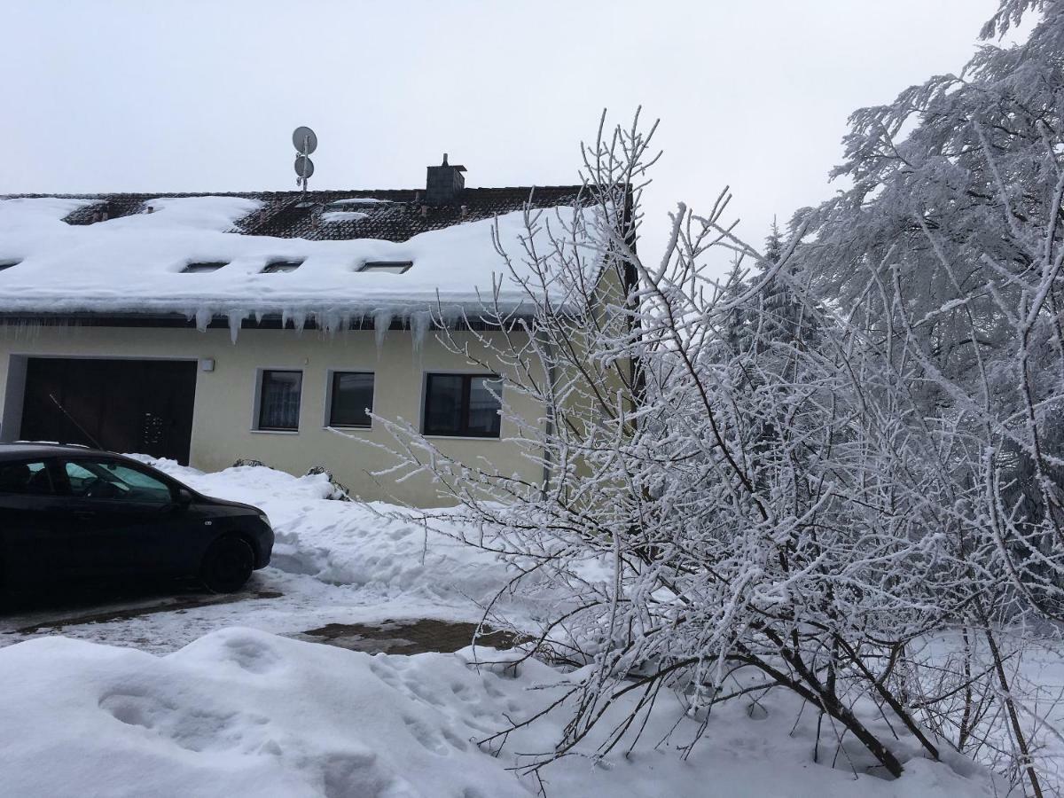 Ferienwohnung Luchsbutze Sankt Andreasberg Exterior foto