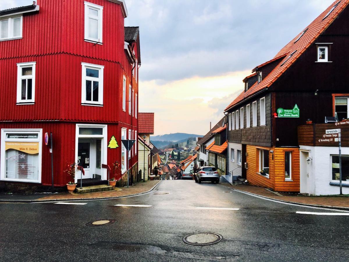 Ferienwohnung Luchsbutze Sankt Andreasberg Exterior foto